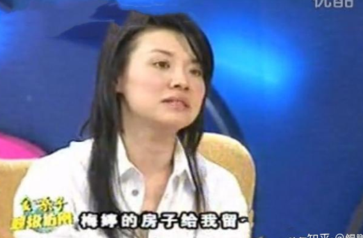 春风沉醉的夜晚张颂文_张颂文_张颂文 乘龙怪婿
