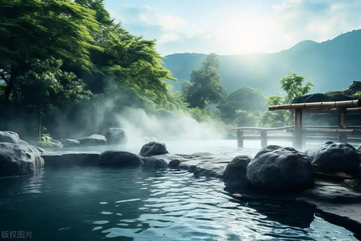 森林氧吧作用_森林氧吧里还有什么_森林氧吧的生活方式有哪些
