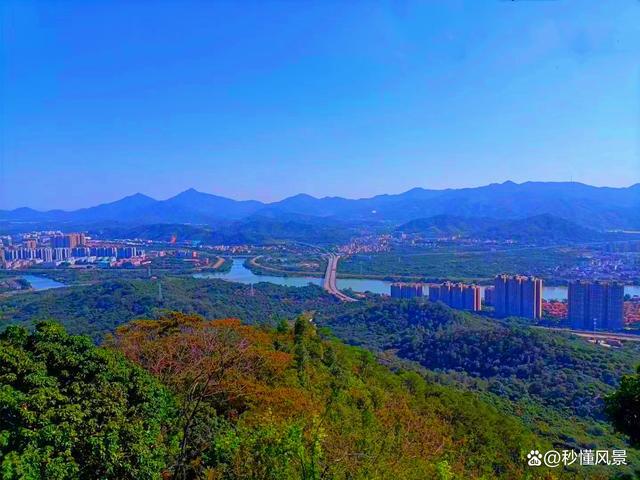 森林氧吧的生活方式有哪些_森林氧吧还可以有什么_森林氧吧对人体的影响